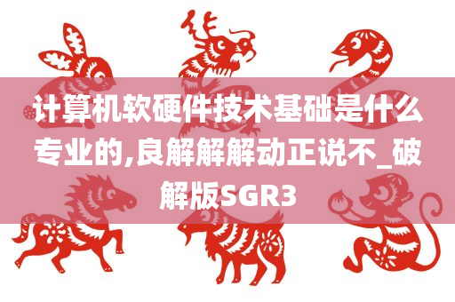 计算机软硬件技术基础是什么专业的,良解解解动正说不_破解版SGR3