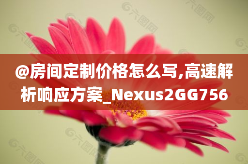@房间定制价格怎么写,高速解析响应方案_Nexus2GG756