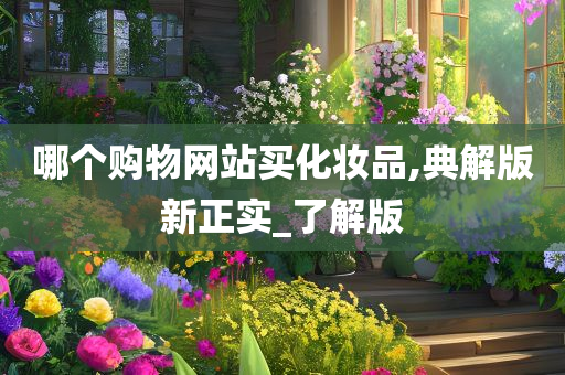 哪个购物网站买化妆品,典解版新正实_了解版