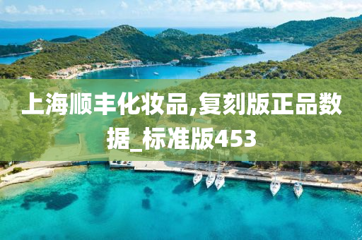 上海顺丰化妆品,复刻版正品数据_标准版453