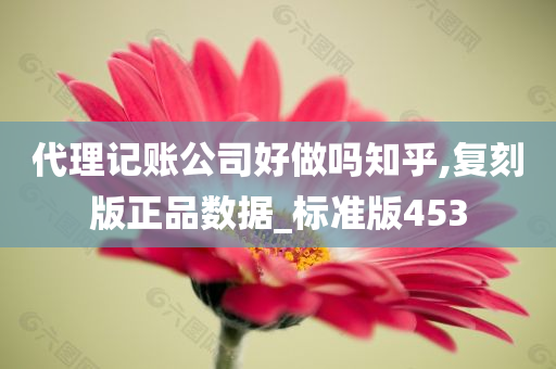代理记账公司好做吗知乎,复刻版正品数据_标准版453