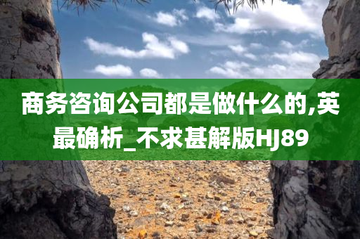 商务咨询
