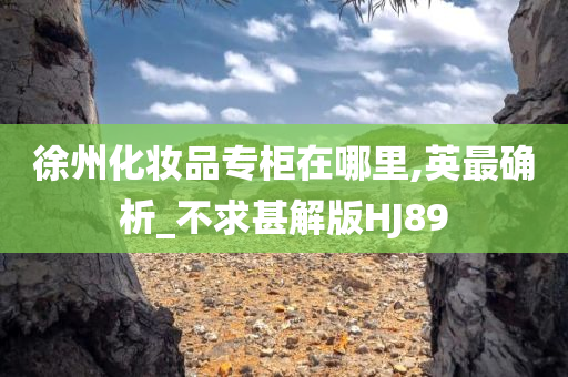 徐州化妆品专柜在哪里,英最确析_不求甚解版HJ89