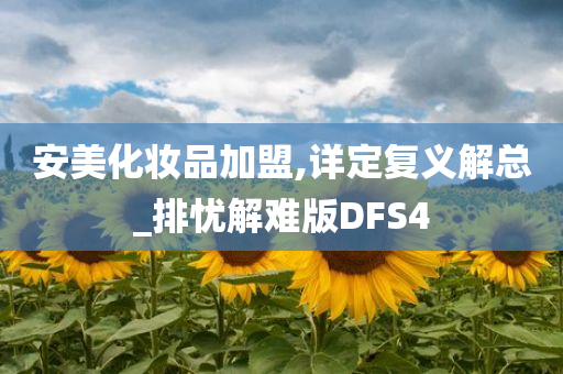 安美化妆品加盟,详定复义解总_排忧解难版DFS4
