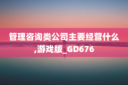 管理咨询类公司主要经营什么,游戏版_GD676