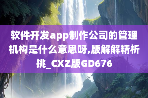 软件开发app制作公司的管理机构是什么意思呀,版解解精析挑_CXZ版GD676