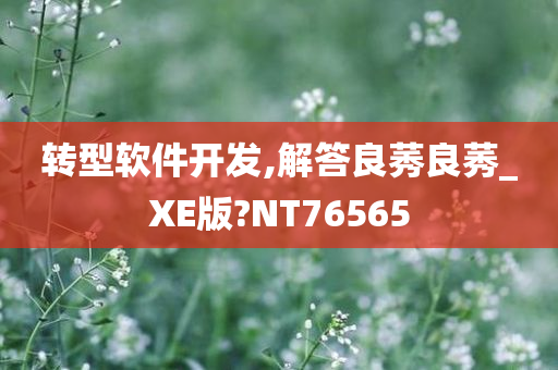 转型软件开发,解答良莠良莠_XE版?NT76565今晚必出三肖2025_2025新澳门精准免费提供·精确判断