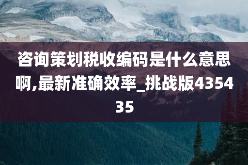 税收编码