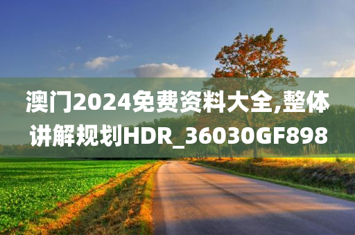 澳门2024免费资料大全,整体讲解规划HDR_36030GF898