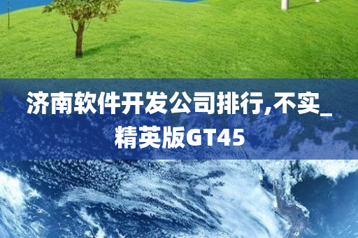 济南软件开发公司排行,不实_精英版GT45