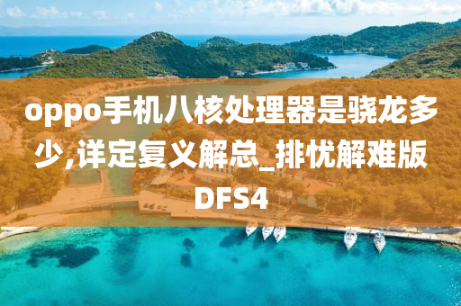 oppo手机八核处理器是骁龙多少,详定复义解总_排忧解难版DFS4