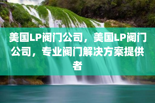 美国LP阀门公司，美国LP阀门公司，专业阀门解决方案提供者