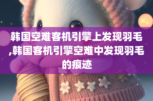韩国空难客机引擎上发现羽毛,韩国客机引擎空难中发现羽毛的痕迹