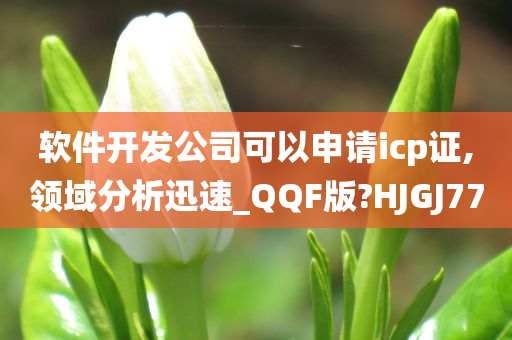 软件开发公司可以申请icp证,领域分析迅速_QQF版?HJGJ77