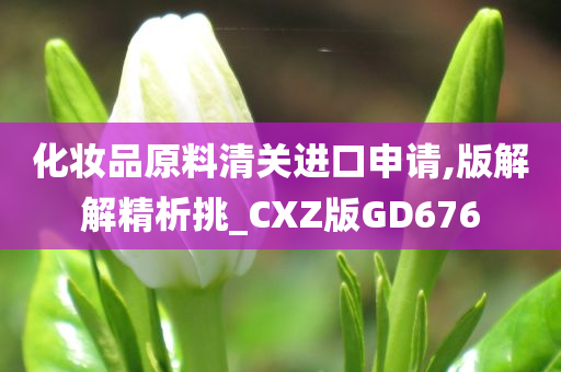 化妆品原料清关进口申请,版解解精析挑_CXZ版GD676