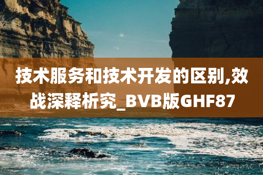 技术服务