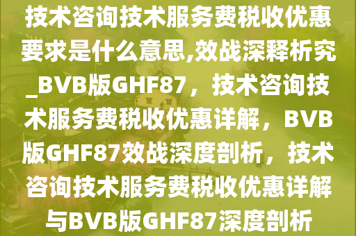技术咨询