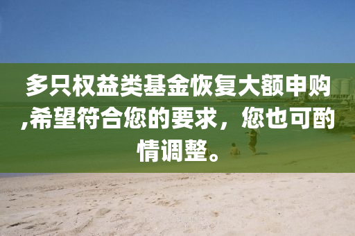 多只权益类基金恢复大额申购,希望符合您的要求，您也可酌情调整。