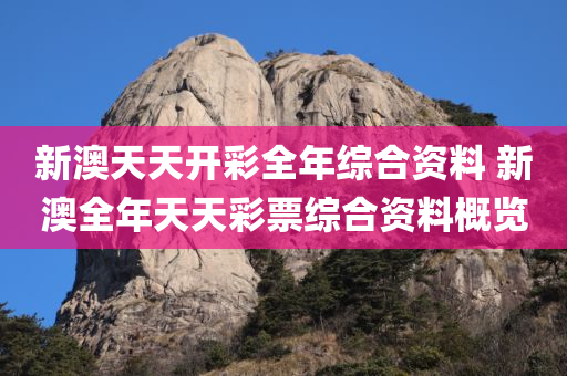 新澳天天开彩全年综合资料 新澳全年天天彩票综合资料概览