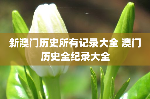 新澳门历史所有记录大全 澳门历史全纪录大全