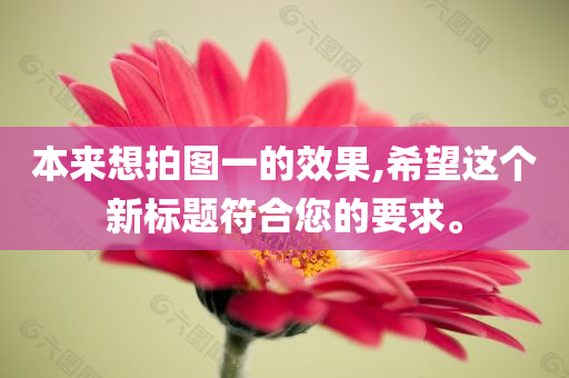 xianhui 第29页