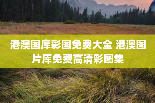 zhangzhiqiang 第26页