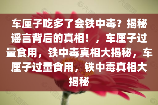 车厘子吃多了会铁中毒？揭秘谣言背后的真相！，车厘子过量今晚必出三肖2025_2025新澳门精准免费提供·精确判断食用，铁中毒真相大揭秘，车厘子过量食用，铁中毒真相大揭秘