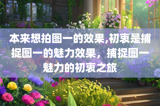本来想拍图一的效果,初衷是捕捉图一的魅力效果，捕捉图一魅力的初衷之旅