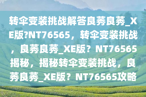 转伞变装挑战解答良莠良莠_XE版?NT76565，转伞变装挑战，良莠良莠_XE版？NT76565揭秘，揭秘转伞变装挑战，良莠良莠_XE版？NT76565攻略