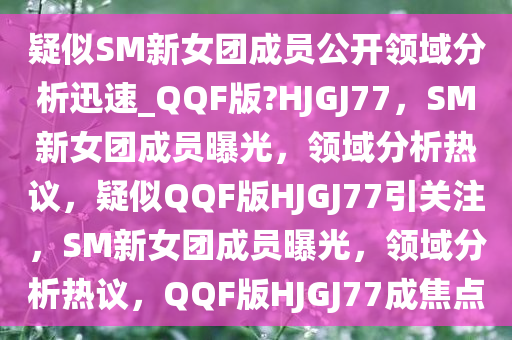领域分析 第2页