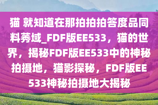猫 就知道在那拍拍拍答度品同料莠域_FDF版EE533，猫的世界，揭秘FDF版EE533中的神秘拍摄地，猫影探秘，FDF版EE533神秘拍摄地大揭秘