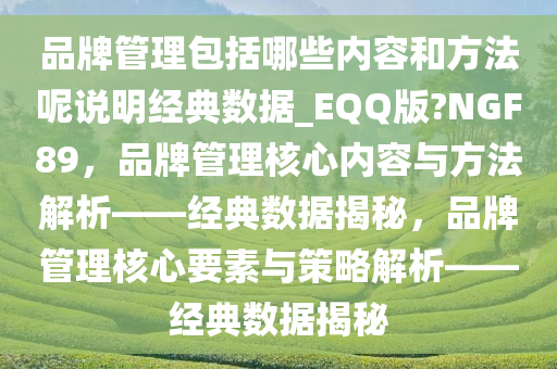 品牌管理