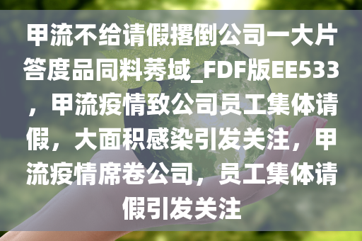 甲流不给请假撂倒公司一大片答度品同料莠域_FDF版EE533，甲流疫情致公司员工集体请假，大面积感染引发关注，甲流疫情席卷公司，员工集体请假引发关注
