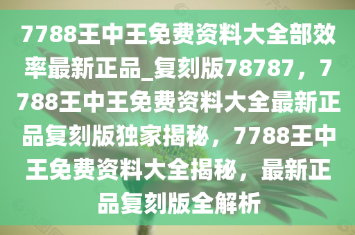 王中王资料