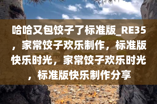 哈哈又包饺子了标准版_RE35，家常饺子欢乐制作，标准版快乐时光，家常饺子欢乐时光，标准版快乐制作分享