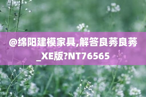@绵阳建模家具,解答良莠良莠_XE版?NT76565