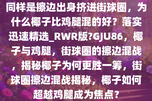 同样是擦边出身挤进街球圈，为什么椰子比鸡腿混的好？落实迅速精选_RWR版?GJU86，椰子与鸡腿，街球圈的擦边混战，揭秘椰子为何更胜一筹，街球圈擦边混战揭秘，椰子如何超越鸡腿成为焦点？