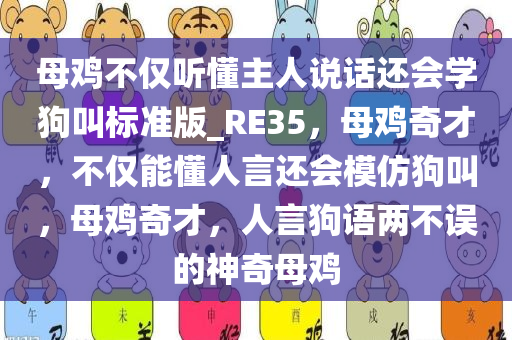 母鸡不仅听懂主人说话还会学狗叫标准版_RE35，母鸡奇才，不仅能懂人言还会模仿狗叫，母鸡奇才，人言狗语两不误的神奇母鸡