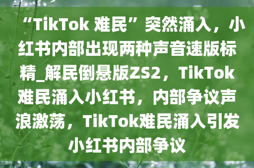 “TikTok 难民”突然涌入，小红书内部出现两种声音速版标精_解民倒悬版ZS2，TikTok难民涌入小红书，内部争议声浪激荡，TikTok难民涌入引发小红书内部争议今晚必出三肖2025_2025新澳门精准免费提供·精确判断